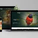 Rwmffringe Karuna Singapore responsive web design - Rainforest World Music Festival Fringe | Rwmffringe